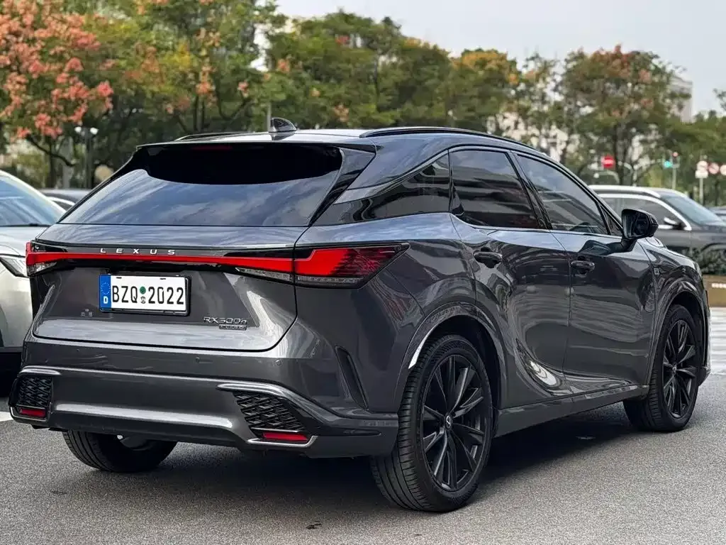 Lexus RX — фото 5