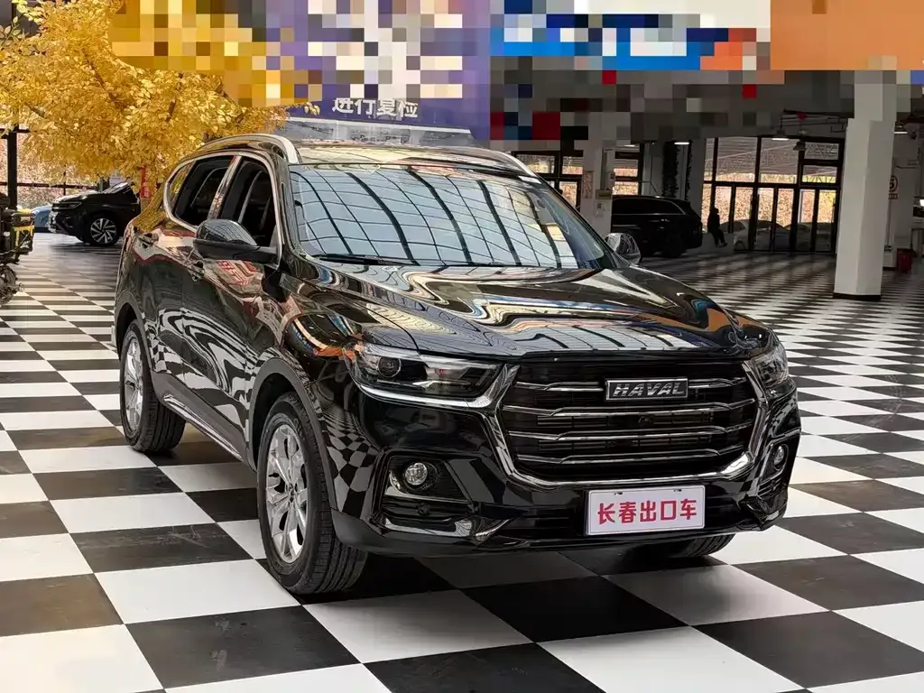 Haval H6 — фото 9