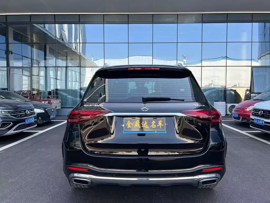 Mercedes-Benz GLE (Import) — фото 8
