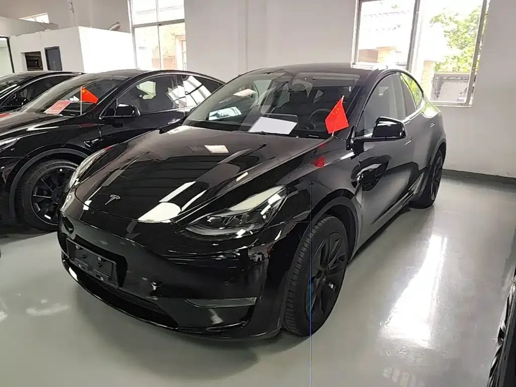 Tesla Model Y — фото 1