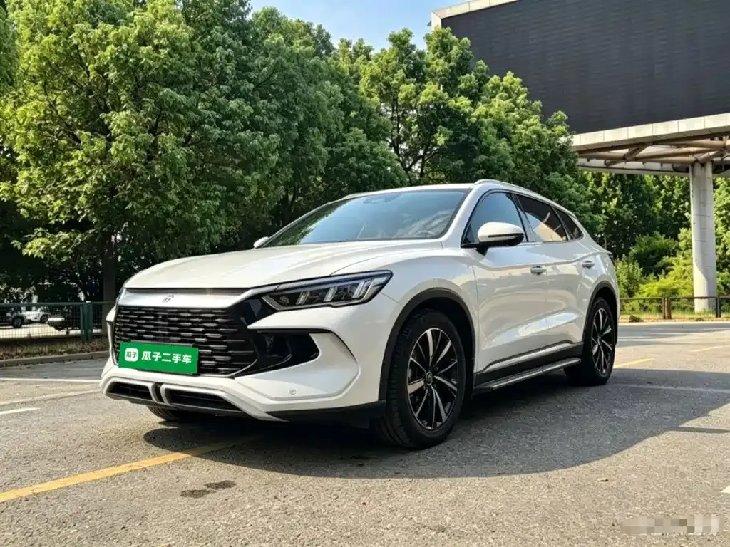 BYD Pro New Energy — фото 1