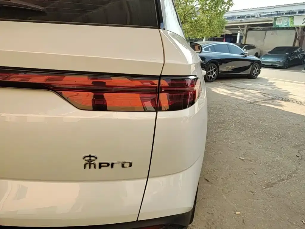 BYD Pro New Energy — фото 7