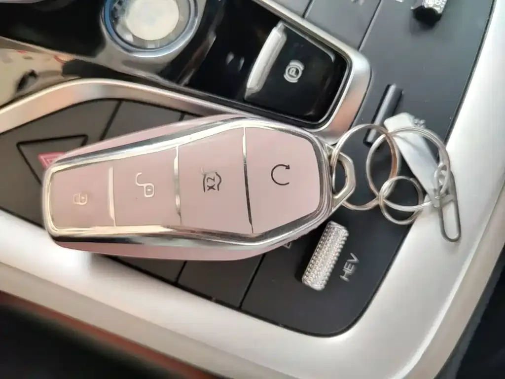 BYD Pro New Energy — фото 2