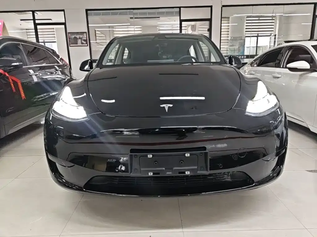 Tesla Model Y — фото 2