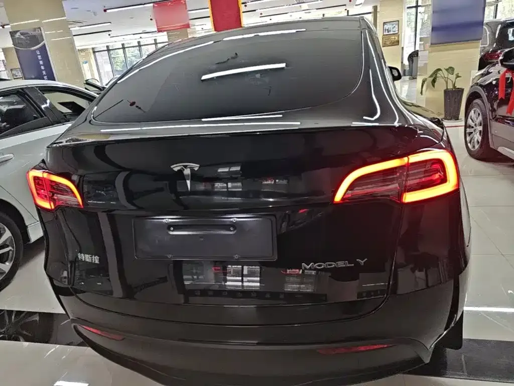 Tesla Model Y — фото 3