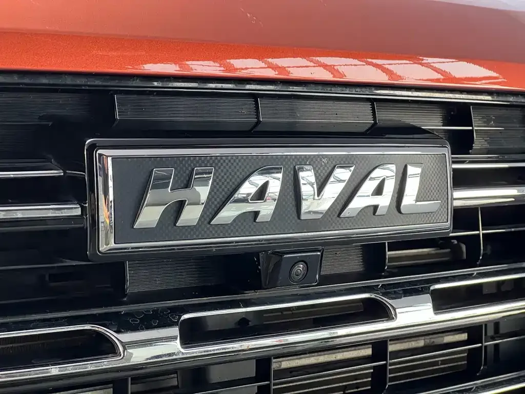 Haval Big Dog — фото 10