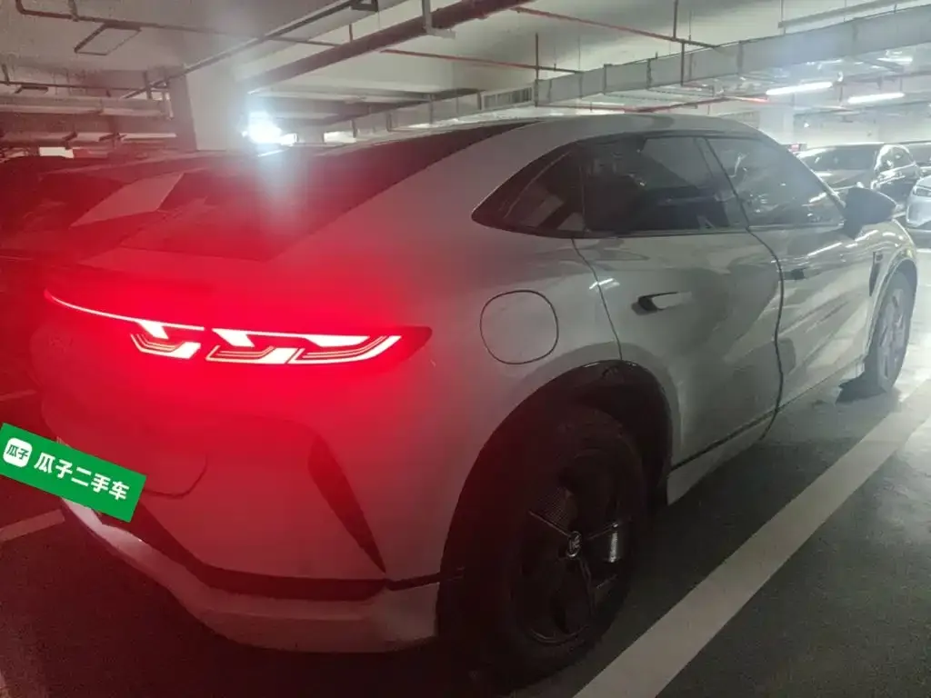 BYD L EV — фото 3