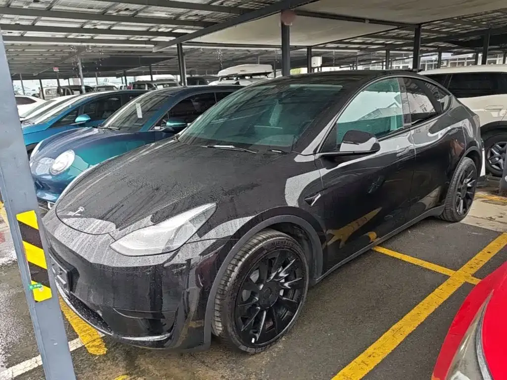 Tesla Model Y — фото 1
