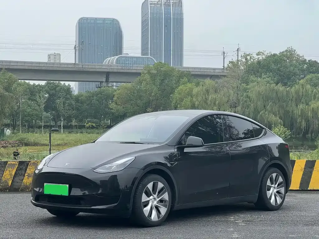 Tesla Model Y — фото 1