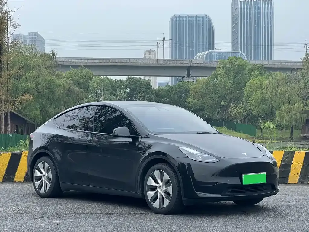 Tesla Model Y — фото 8