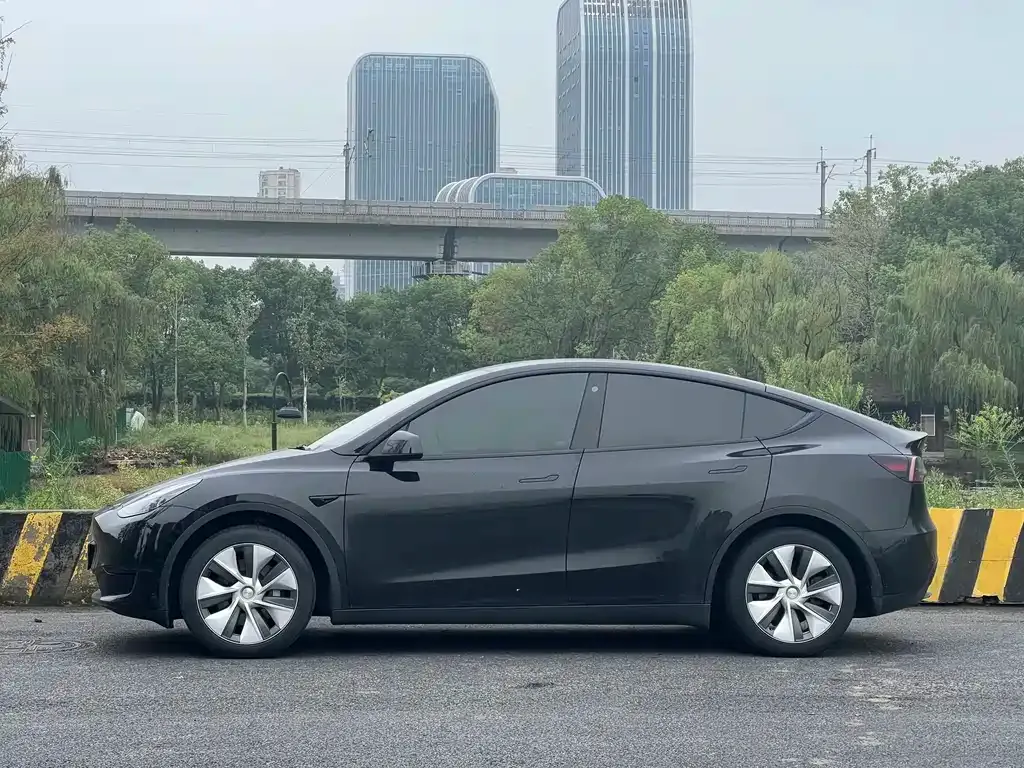Tesla Model Y — фото 4