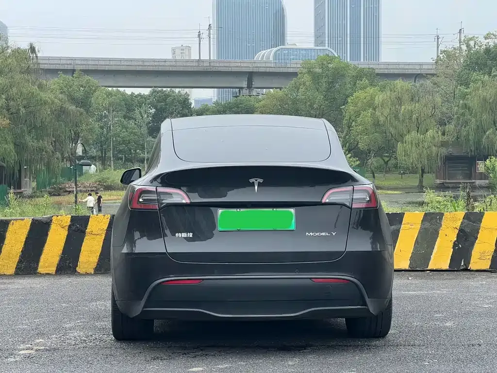 Tesla Model Y — фото 5