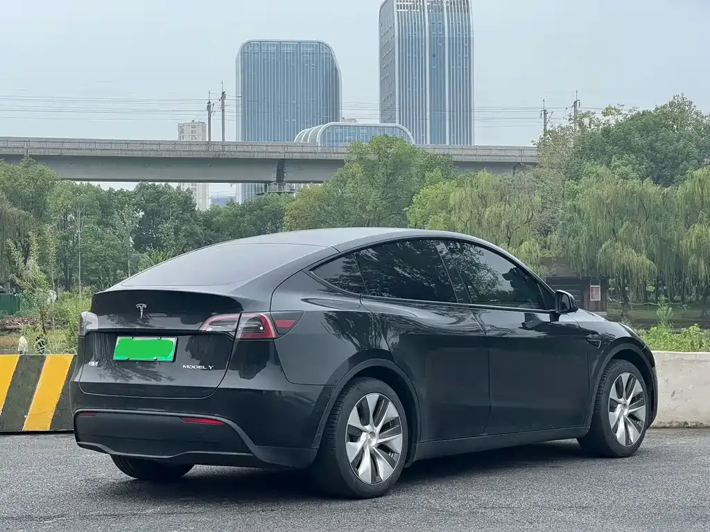 Tesla Model Y — фото 9