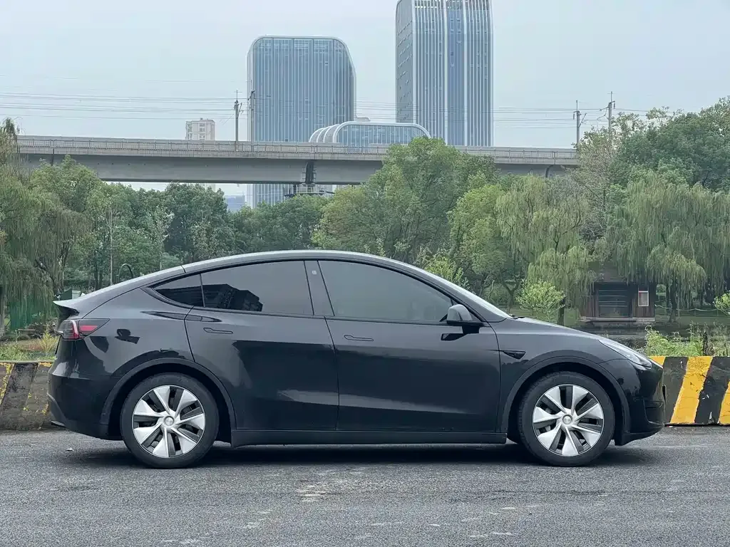 Tesla Model Y — фото 10