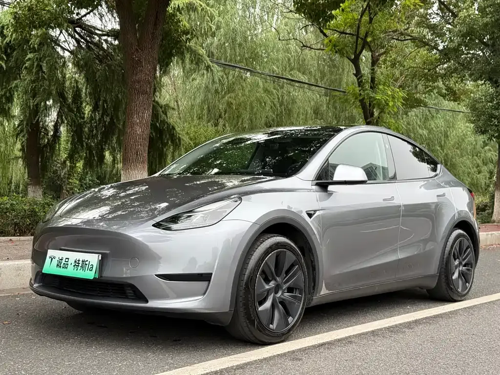 Tesla Model Y — фото 1