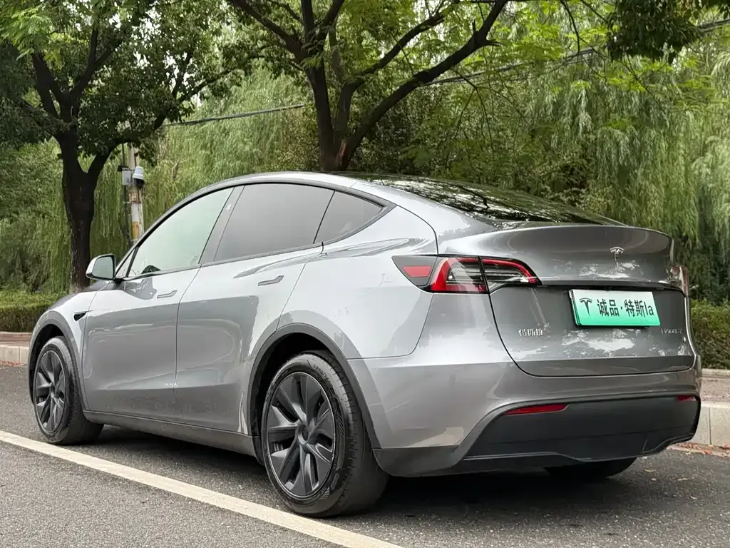 Tesla Model Y — фото 9