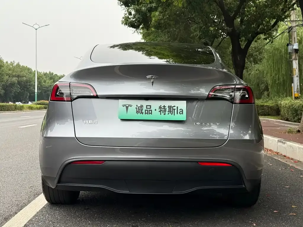 Tesla Model Y — фото 6