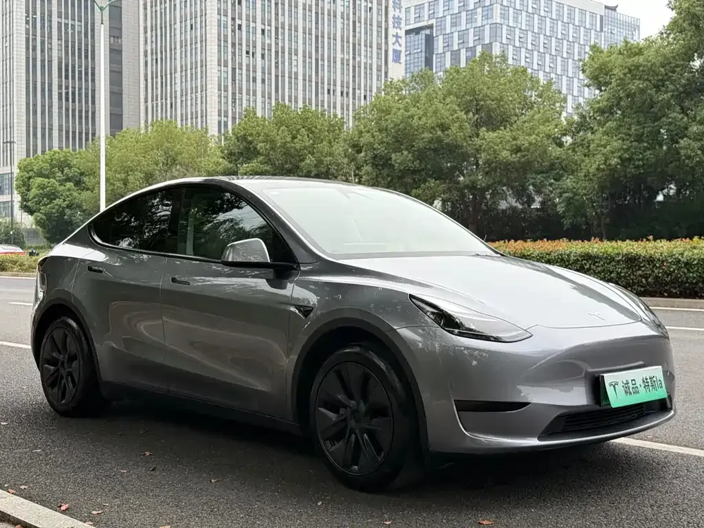 Tesla Model Y — фото 10