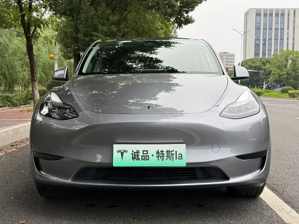 Tesla Model Y — фото 5