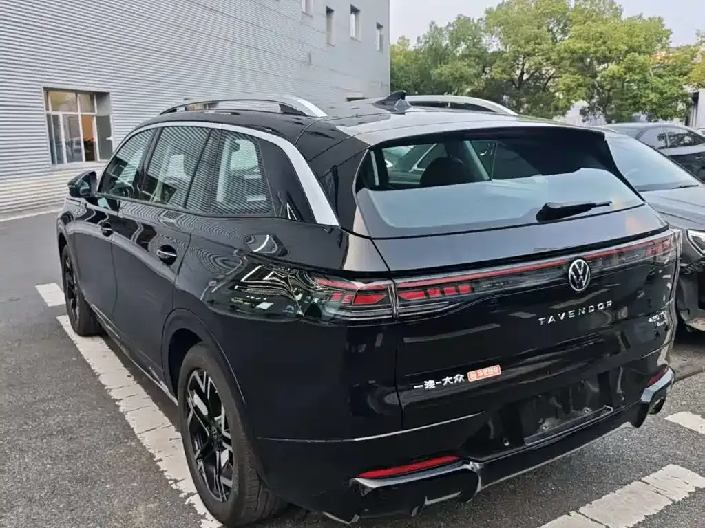 Volkswagen Tavendor — фото 7