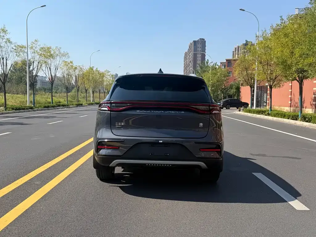 BYD Tang New Energy — фото 10