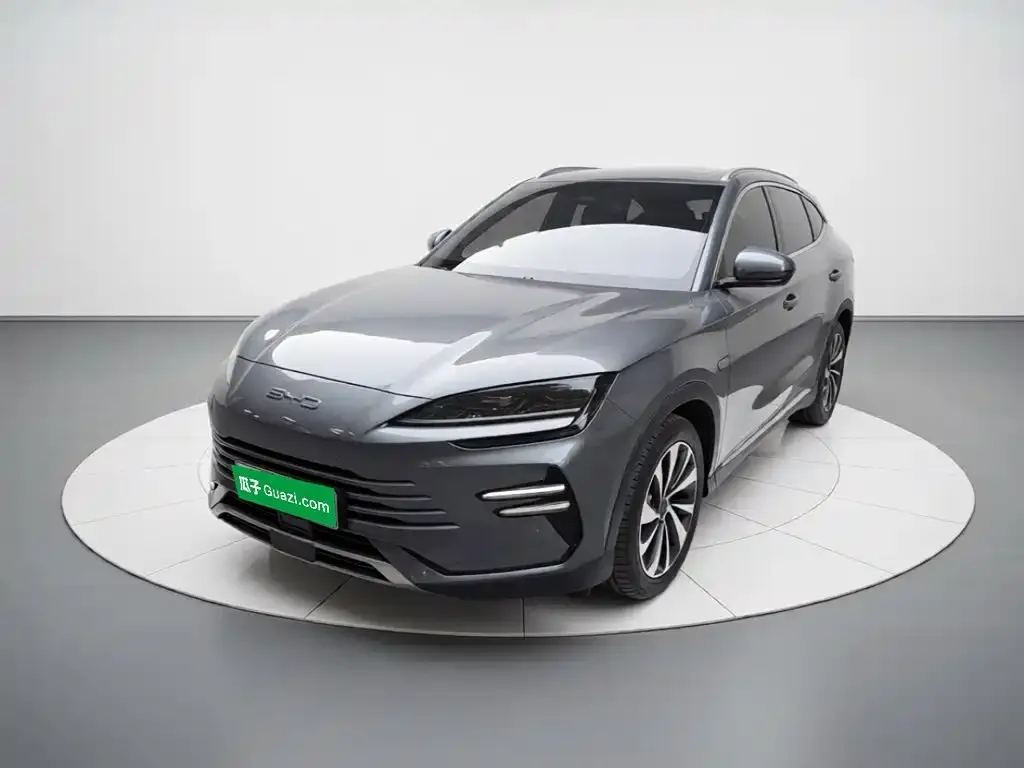 BYD PLUS New Energy — фото 1