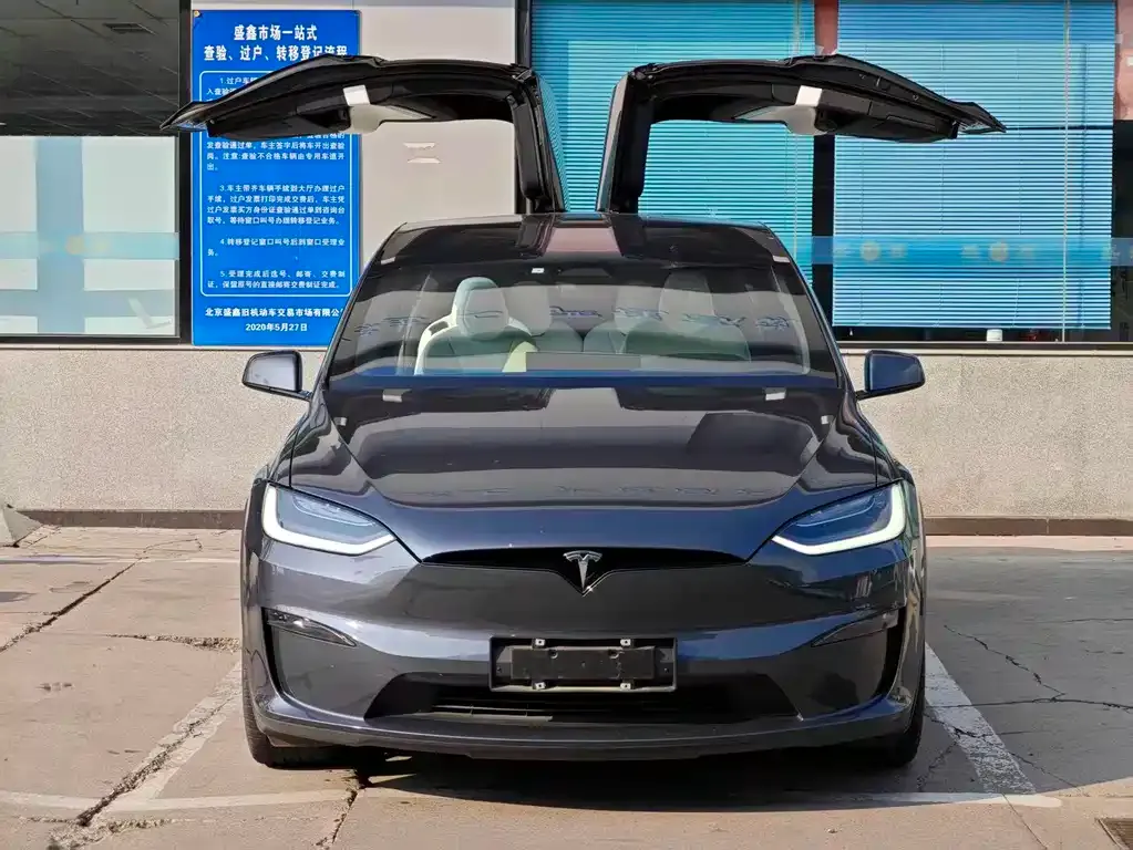 Tesla Model X — фото 9