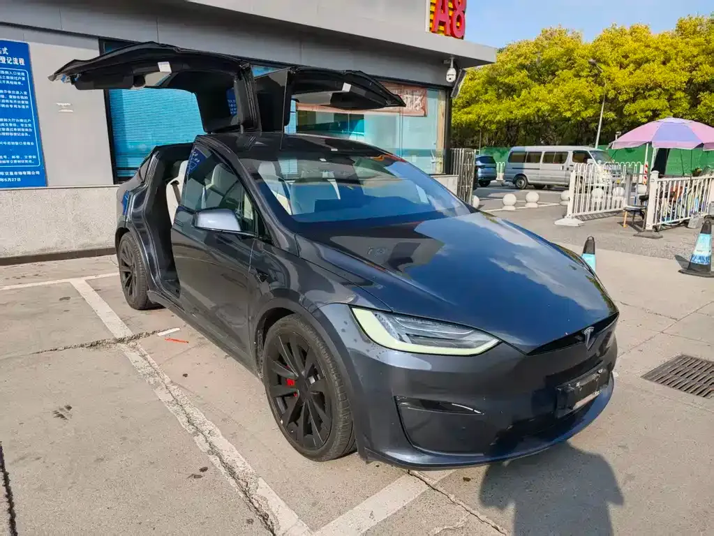 Tesla Model X — фото 5