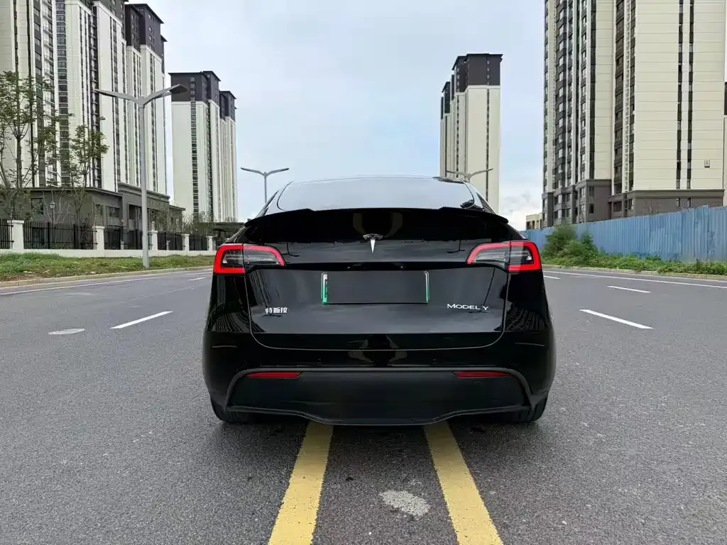 Tesla Model Y — фото 6