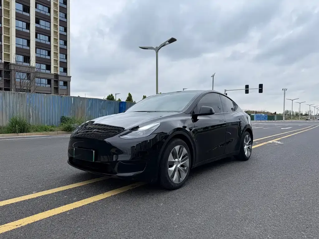 Tesla Model Y — фото 9