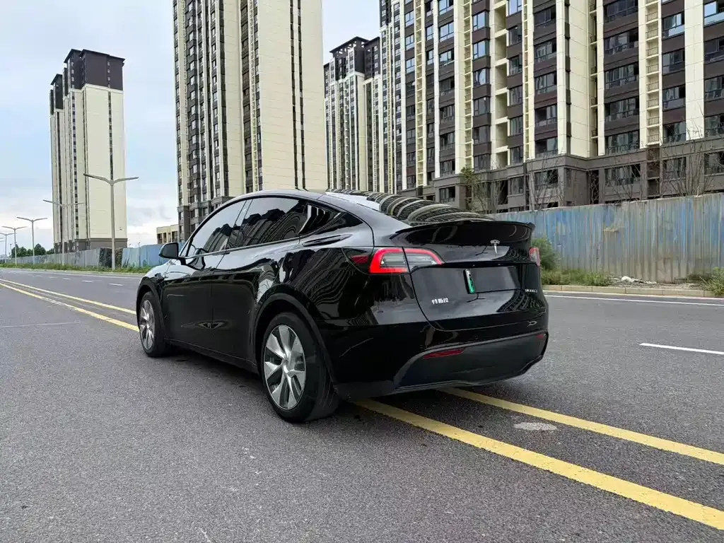 Tesla Model Y — фото 10