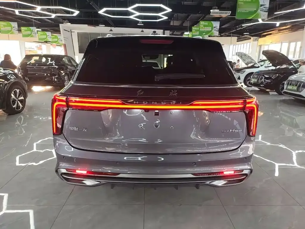 Hongqi E-HS9 — фото 3