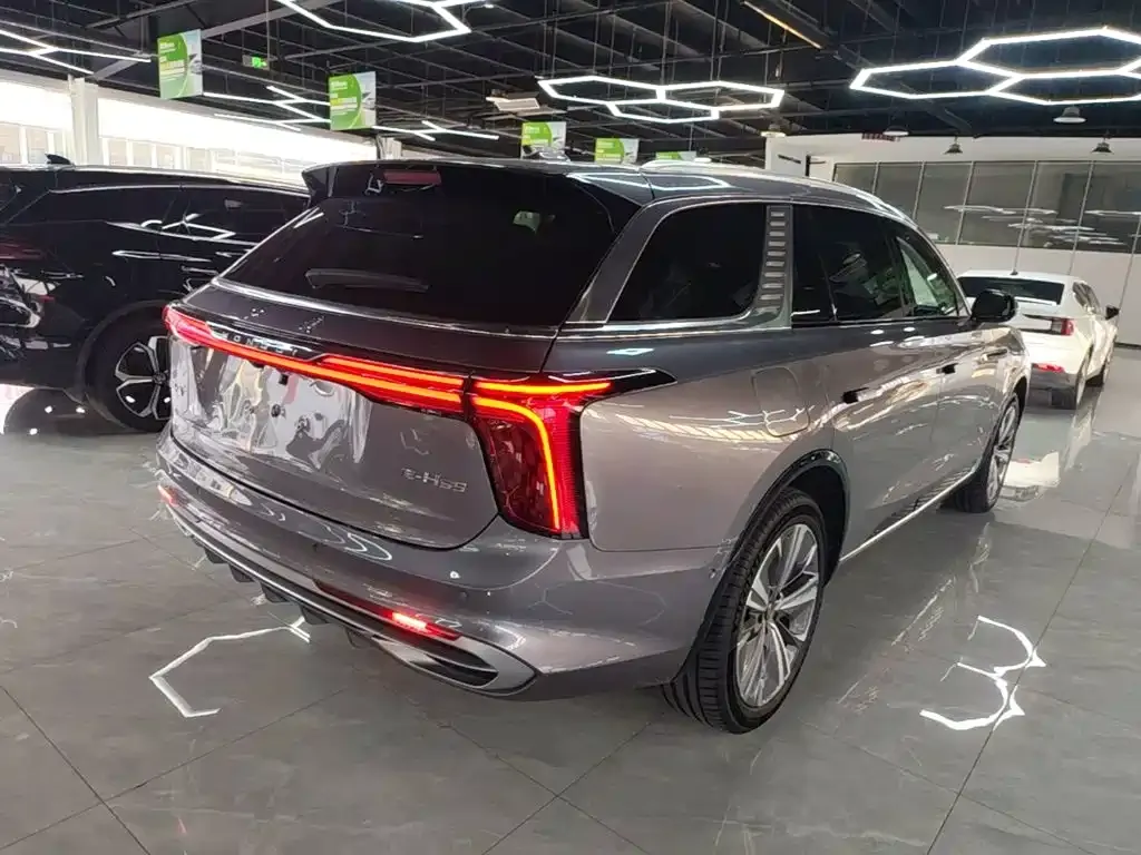 Hongqi E-HS9 — фото 10
