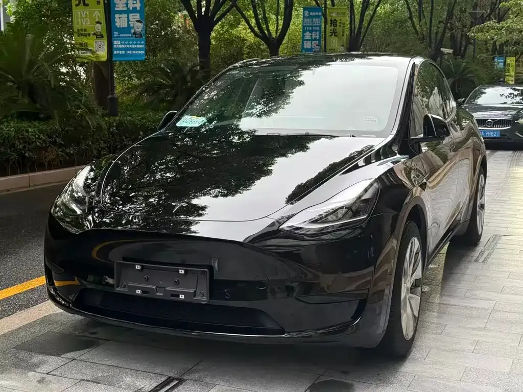 Tesla Model Y — фото 1