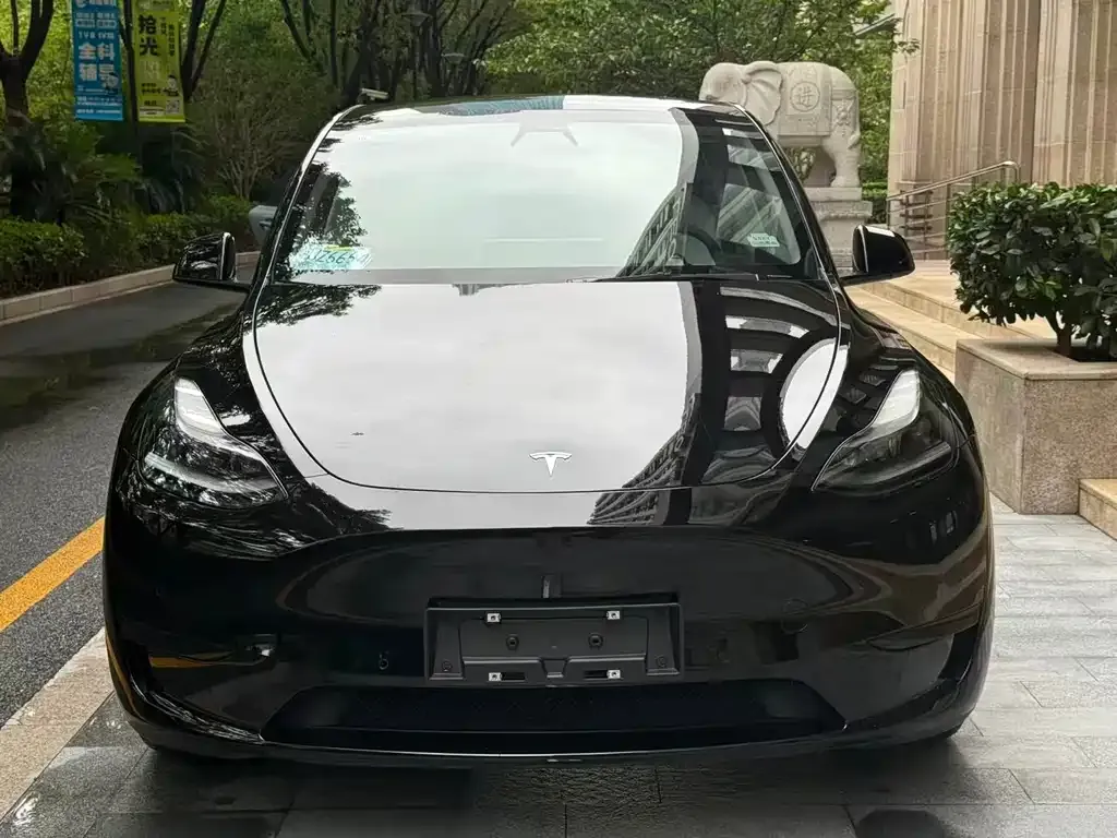 Tesla Model Y — фото 4
