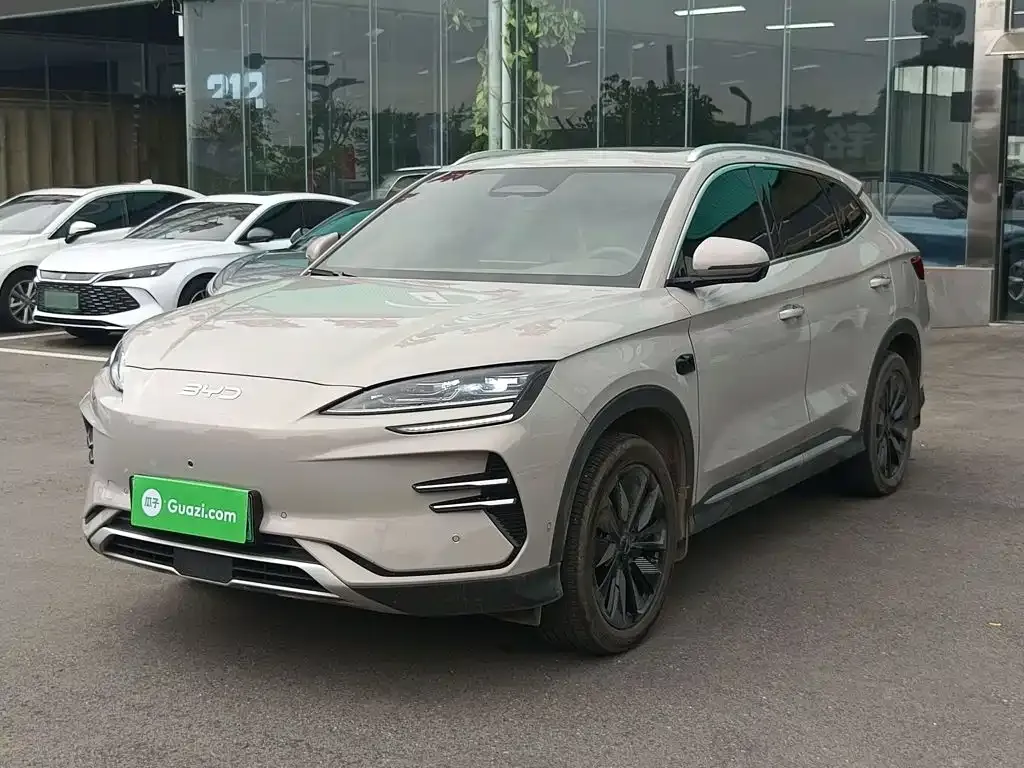 BYD PLUS New Energy — фото 1