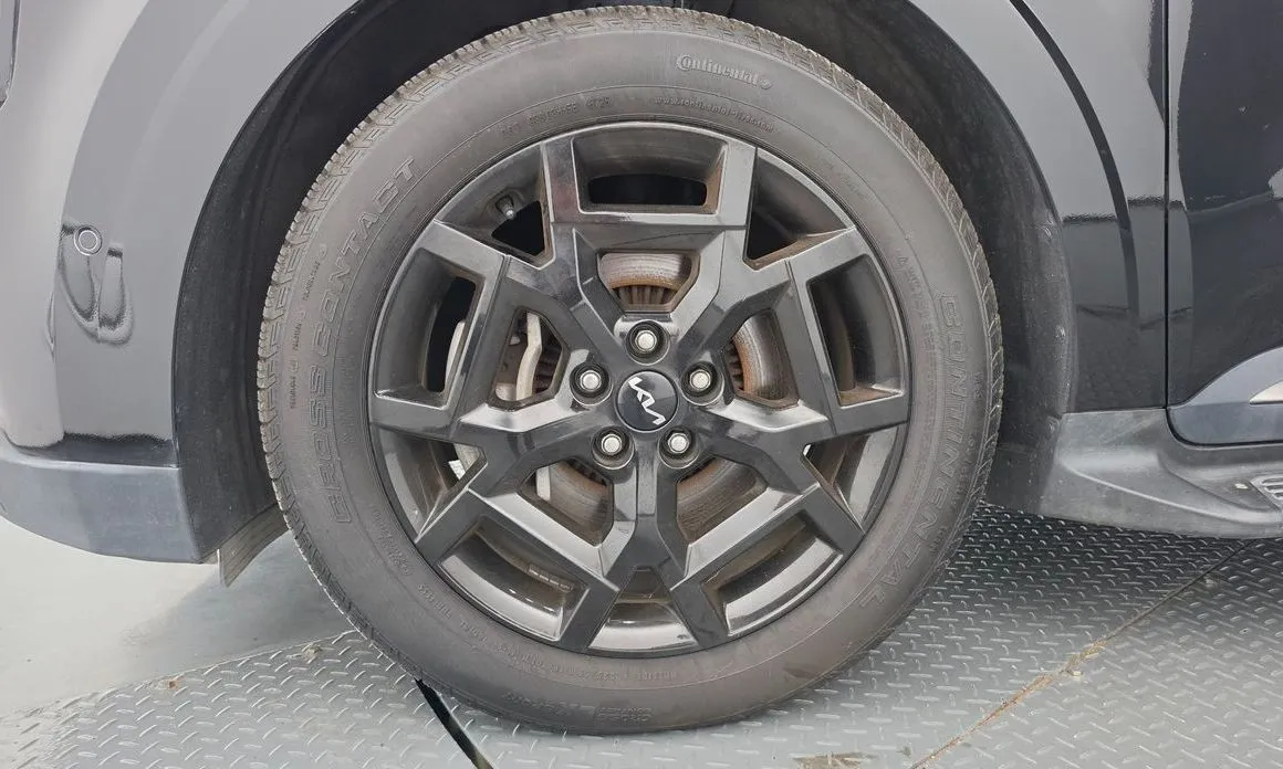 Kia Carnival — фото 10