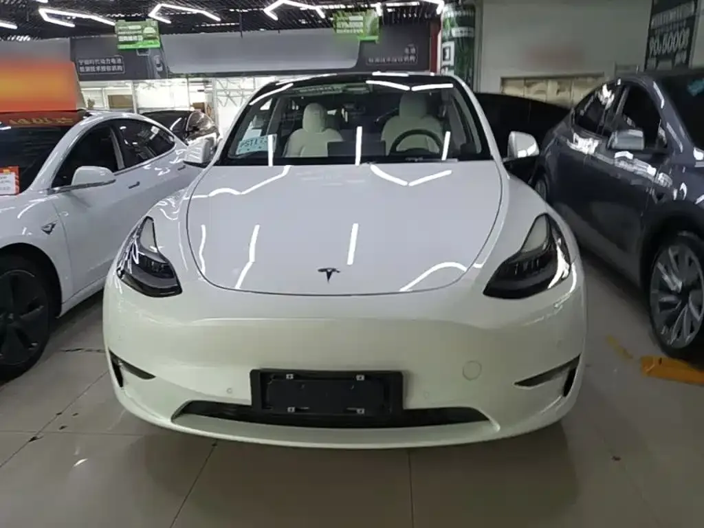 Tesla Model Y — фото 3