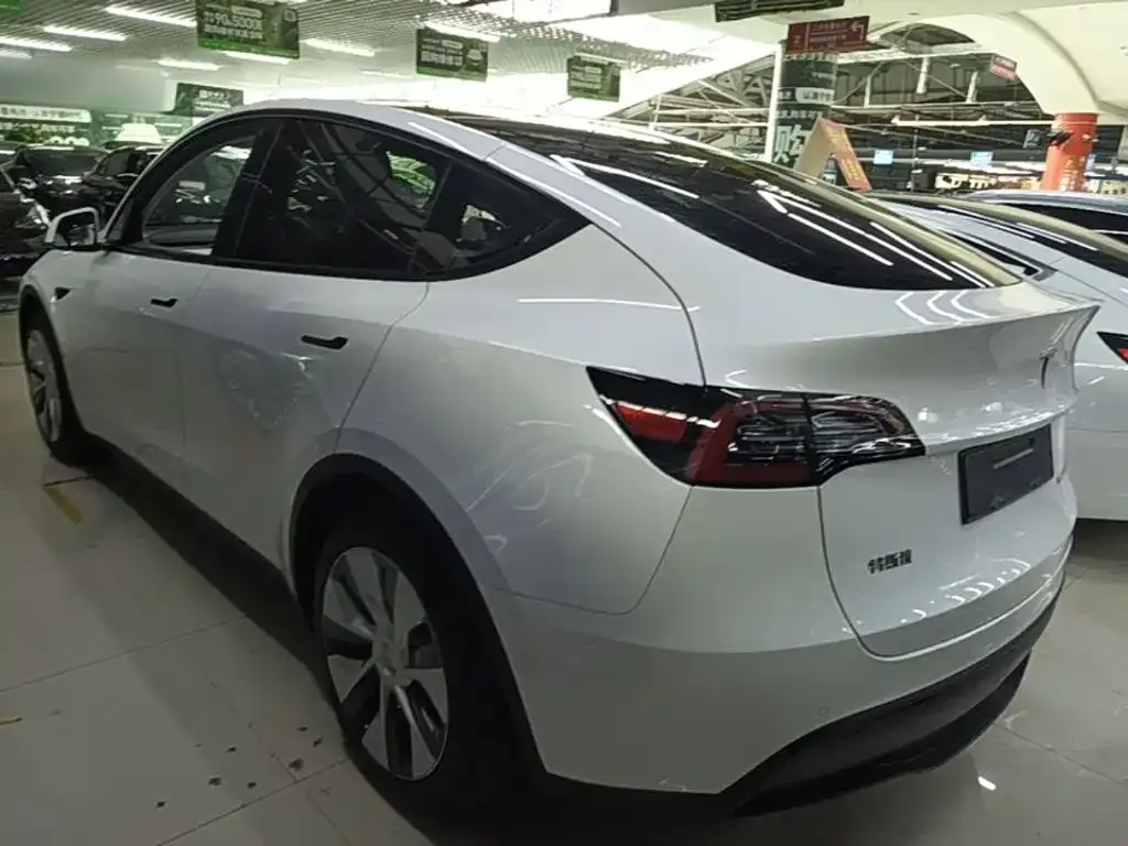 Tesla Model Y — фото 2