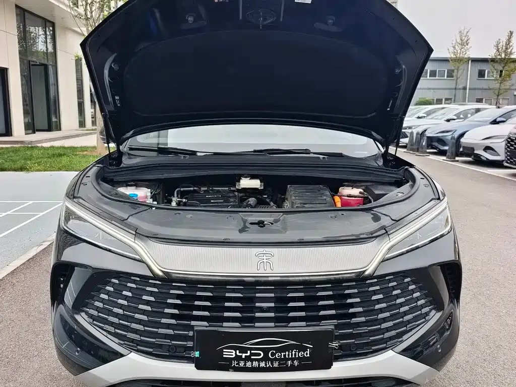BYD L DM-i — фото 6
