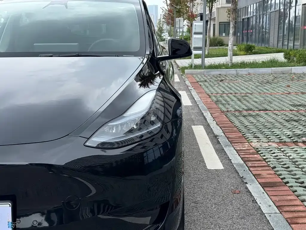 Tesla Model Y — фото 6