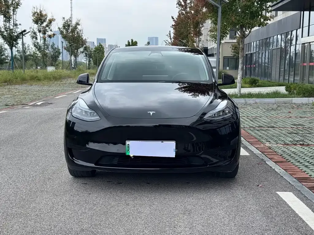 Tesla Model Y — фото 8