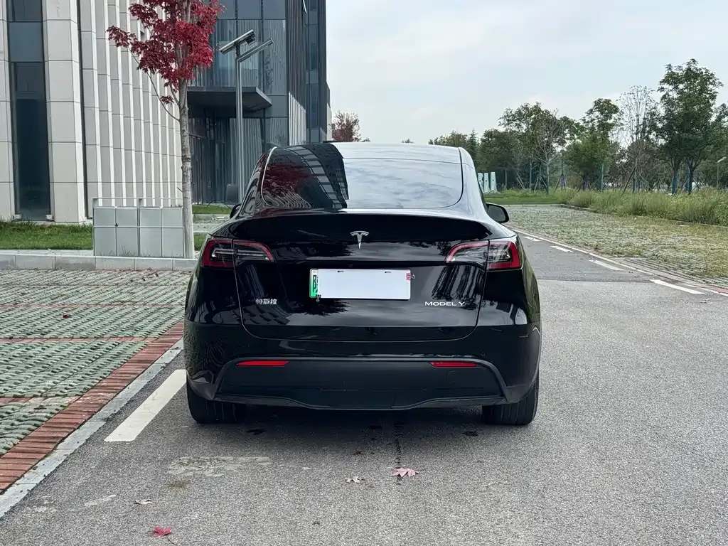 Tesla Model Y — фото 10