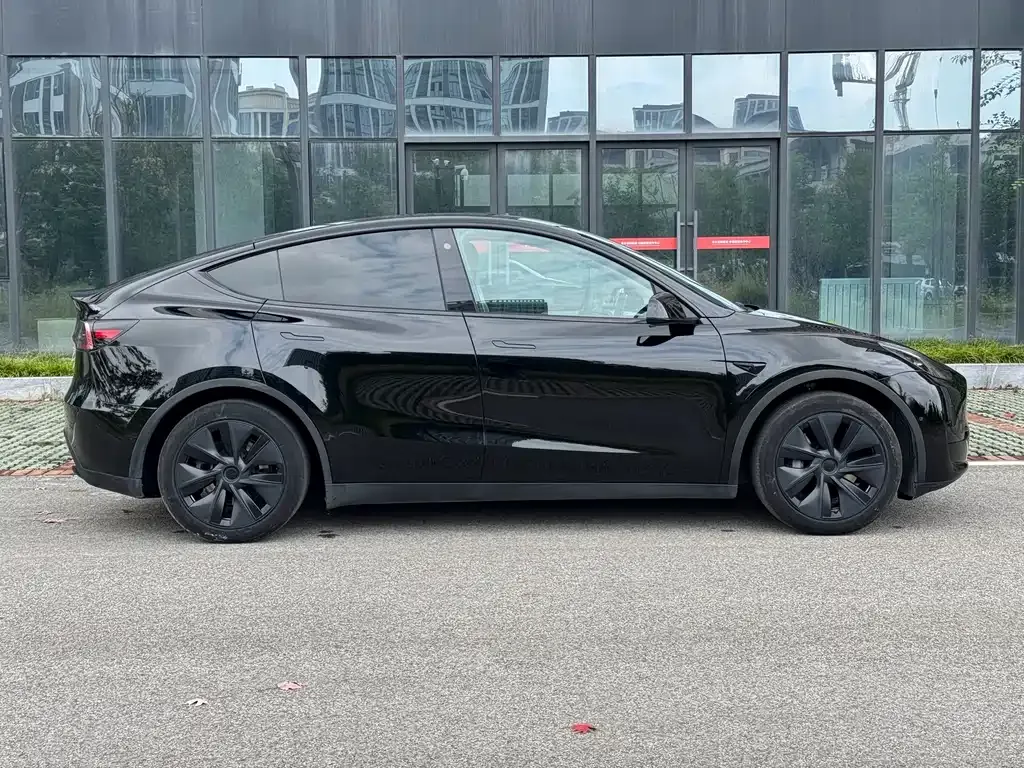 Tesla Model Y — фото 5