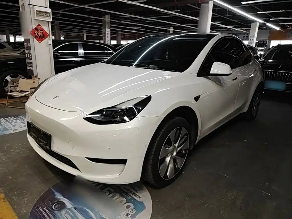 Tesla Model Y — фото 9