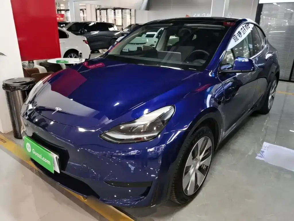 Tesla Model Y — фото 10