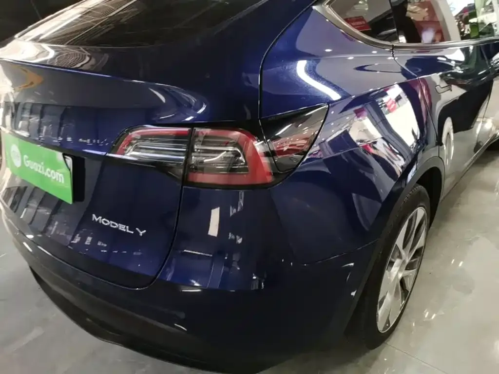 Tesla Model Y — фото 6