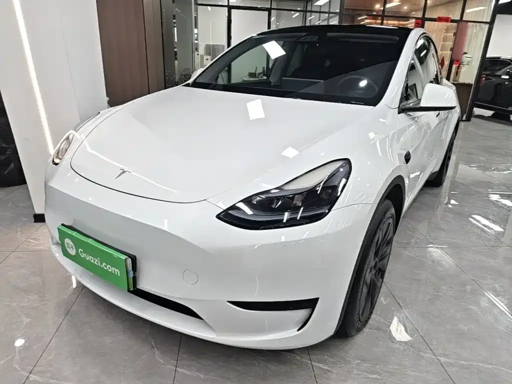 Tesla Model Y — фото 10