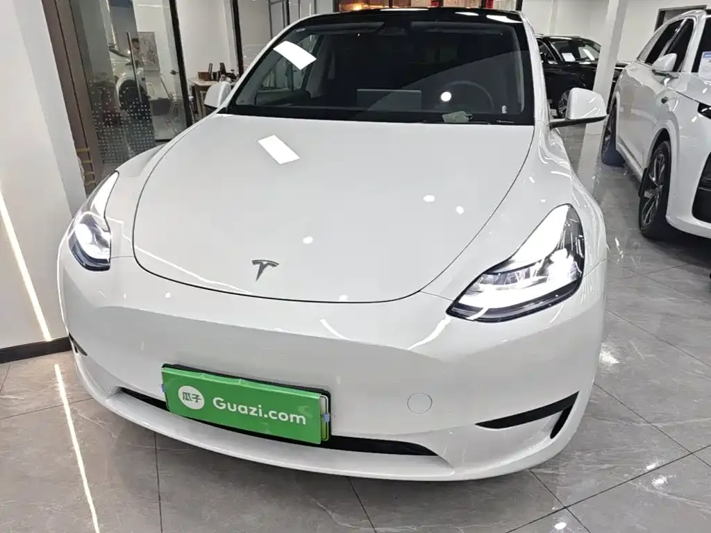 Tesla Model Y — фото 5