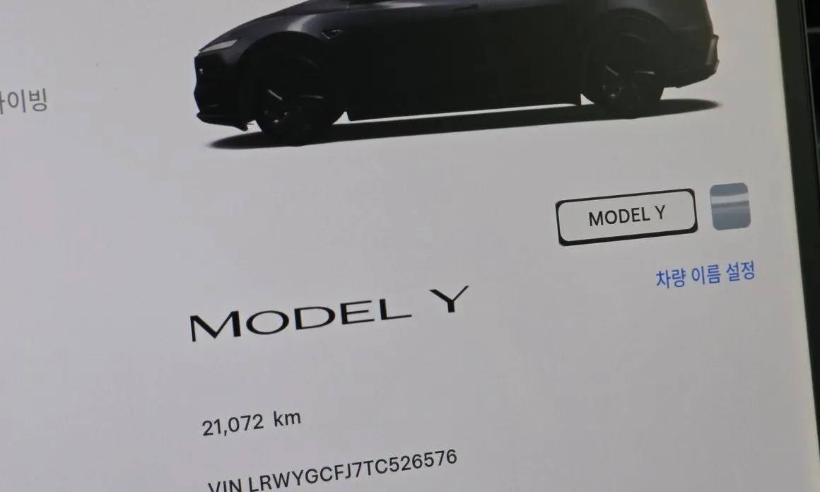 Tesla Model Y — фото 5